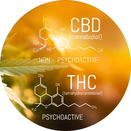 THC